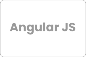angular js