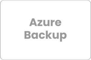 backup